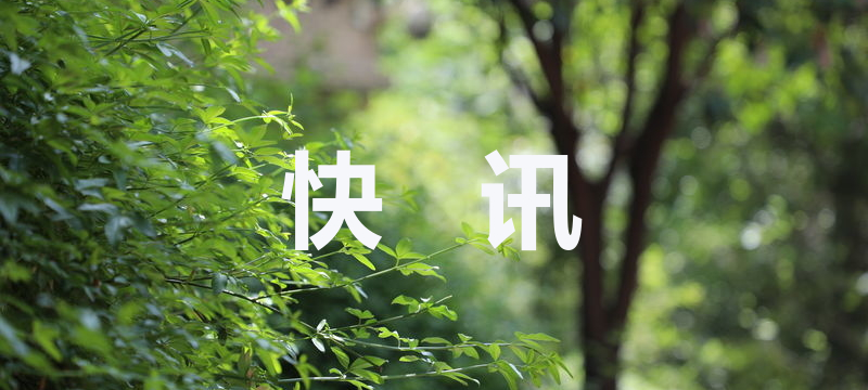 湖南人逃离曼德勒经历：历经艰险终抵安全地带