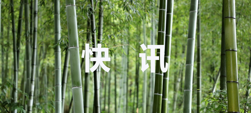 陈奕迅女儿出道曲MV正式上线