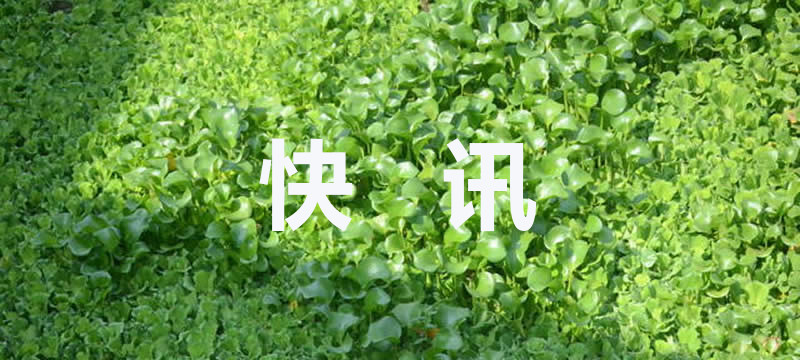 美国7.3级强震引发居民恐慌