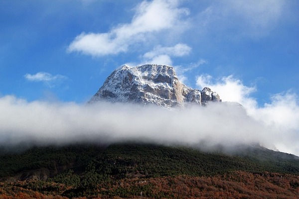 湖北新人创意无限，租用公交车打造低碳婚车